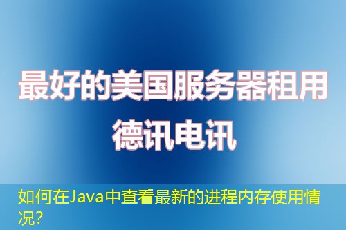 如何在Java中查看最新的進(jìn)程內(nèi)存使用情況？