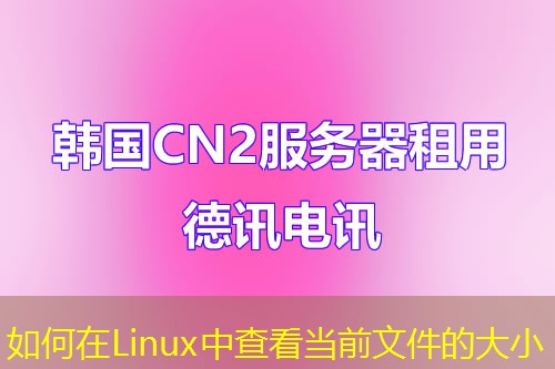 如何在Linux中查看當前文件的大小