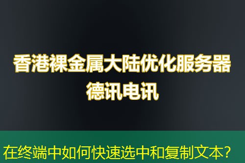 在終端中如何快速選中和復(fù)制文本？