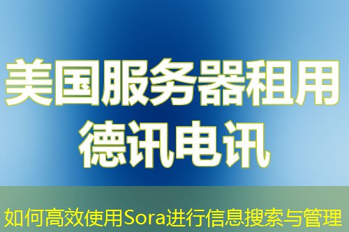 如何高效使用Sora進(jìn)行信息搜索與管理