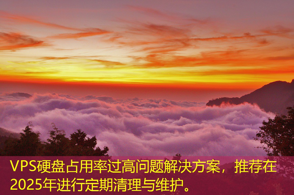 VPS硬盤占用率過高問題解決方案，推薦在2025年進(jìn)行定期清理與維護(hù)。
