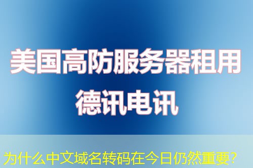 為什么中文域名轉(zhuǎn)碼在今日仍然重要？