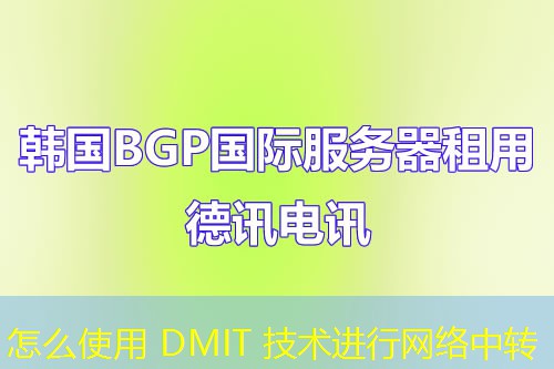 怎么使用 DMIT 技術(shù)進(jìn)行網(wǎng)絡(luò)中轉(zhuǎn)