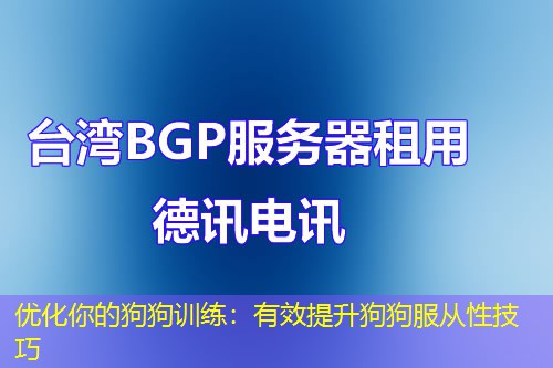 優(yōu)化你的狗狗訓(xùn)練：有效提升狗狗服從性技巧