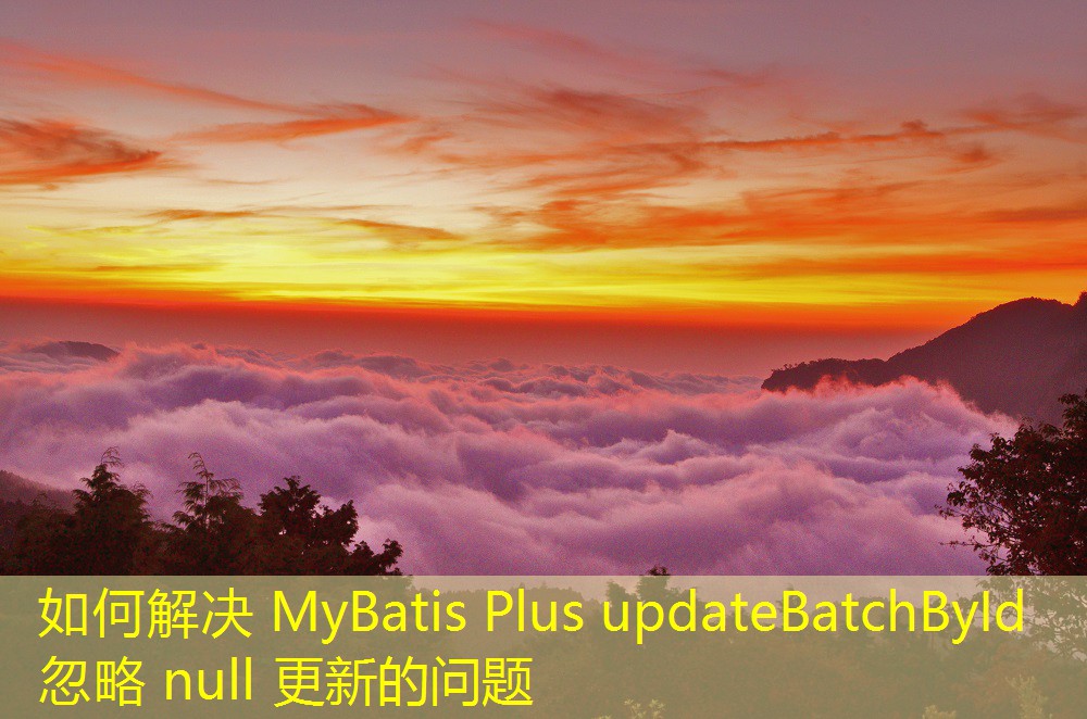 如何解決 MyBatis Plus updateBatchById 忽略 null 更新的問題