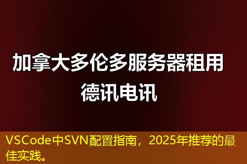 VSCode中SVN配置指南，2025年推薦的最佳實(shí)踐。