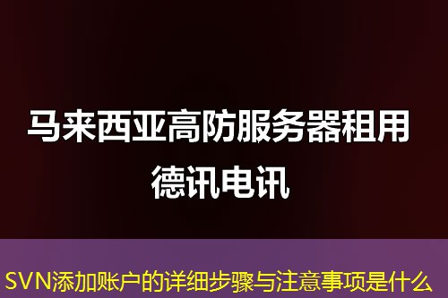 SVN添加賬戶的詳細(xì)步驟與注意事項是什么