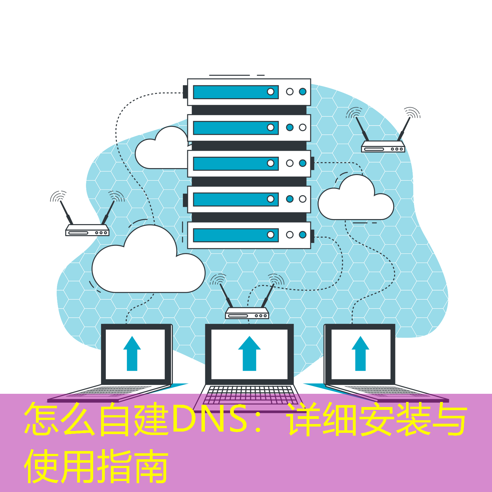 怎么自建DNS：詳細(xì)安裝與使用指南