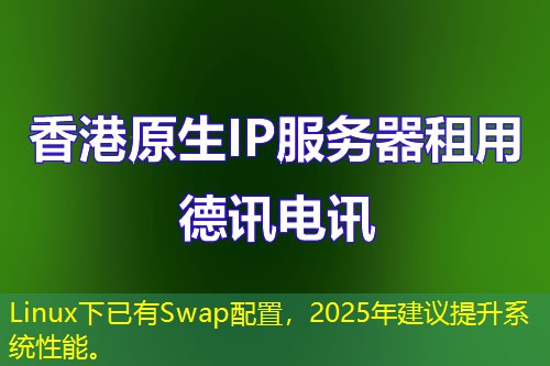 Linux下已有Swap配置，2025年建議提升系統(tǒng)性能。