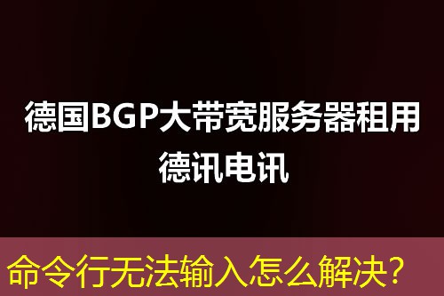 命令行無法輸入怎么解決？