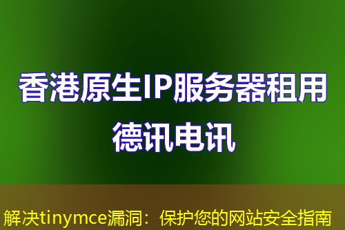 解決tinymce漏洞：保護您的網(wǎng)站安全指南