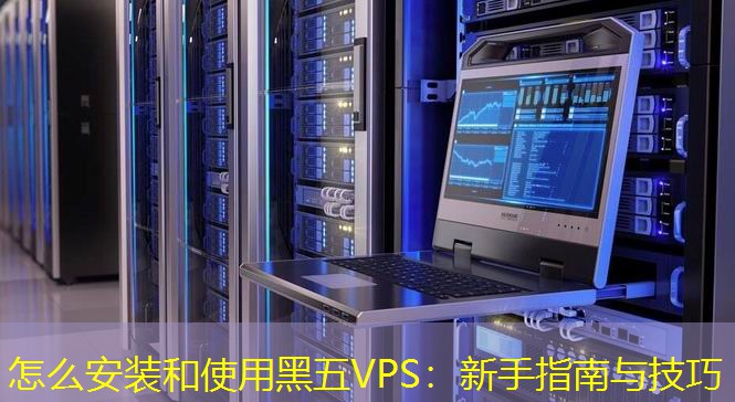 怎么安裝和使用黑五VPS：新手指南與技巧