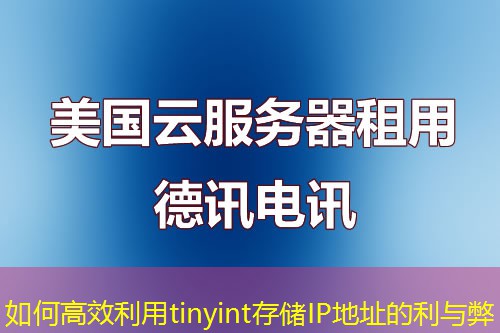 如何高效利用tinyint存儲(chǔ)IP地址的利與弊