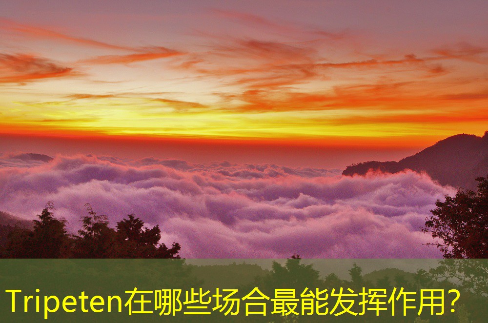 Tripeten在哪些場合最能發(fā)揮作用？