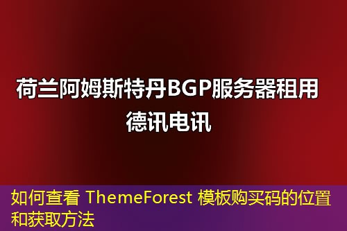如何查看 ThemeForest 模板購(gòu)買(mǎi)碼的位置和獲取方法