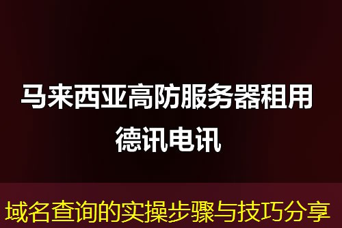 域名查詢的實(shí)操步驟與技巧分享