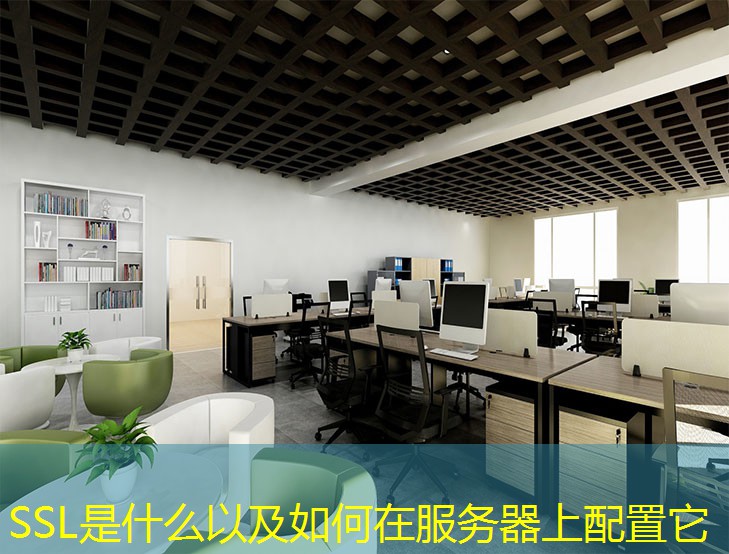 SSL是什么以及如何在服務(wù)器上配置它