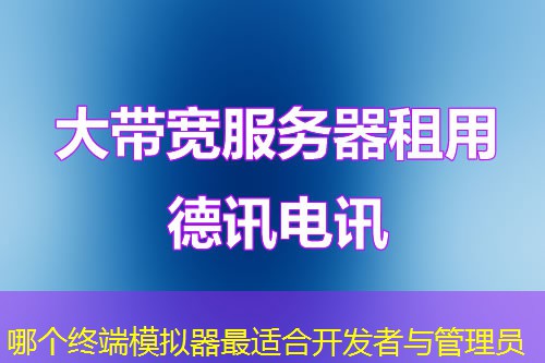 哪個(gè)終端模擬器最適合開發(fā)者與管理員