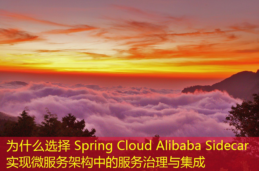 為什么選擇 Spring Cloud Alibaba Sidecar 實現(xiàn)微服務(wù)架構(gòu)中的服務(wù)治理與集成
