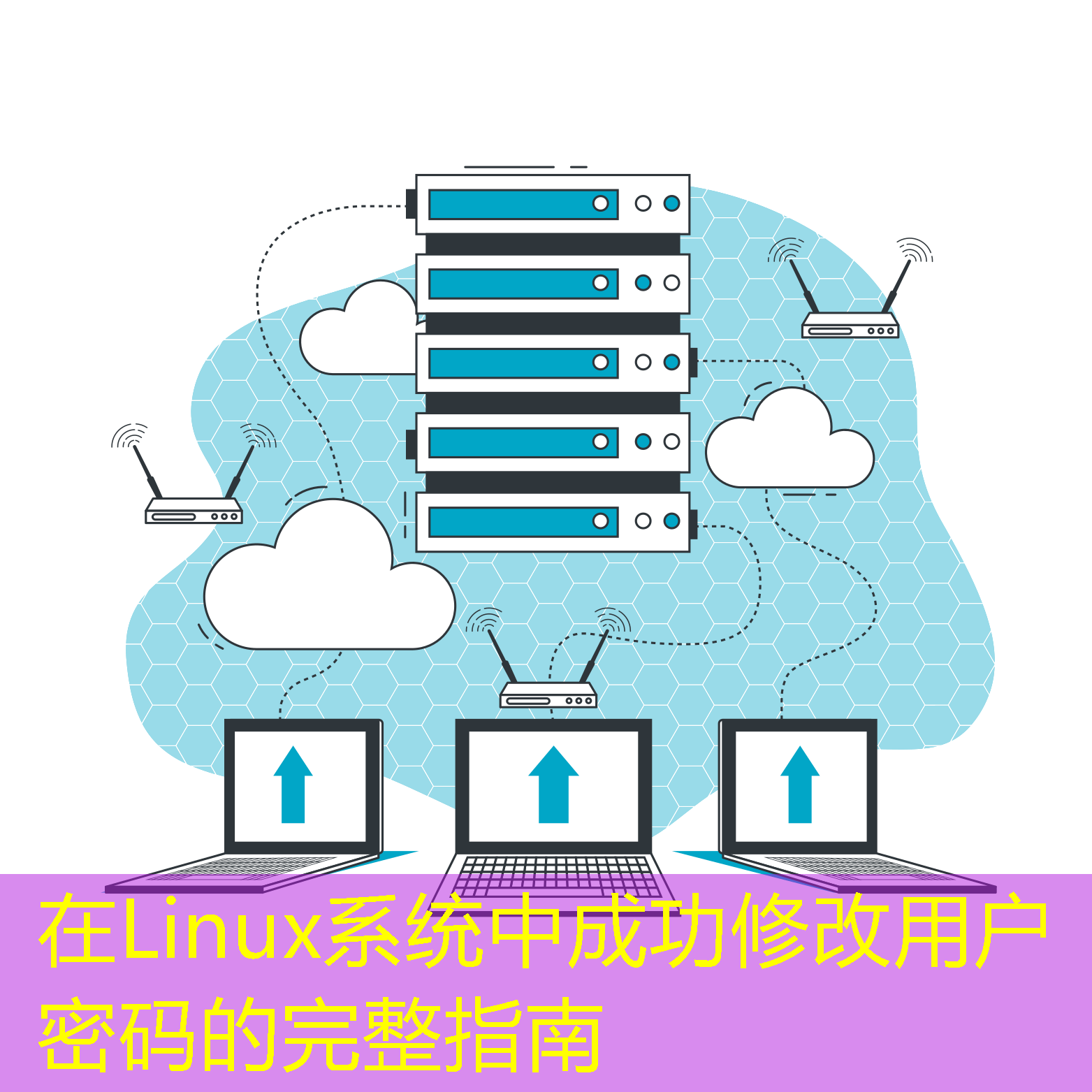 在Linux系統(tǒng)中成功修改用戶(hù)密碼的完整指南